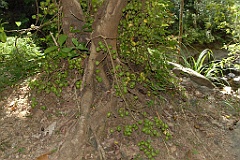 0836 Crystal Cascades